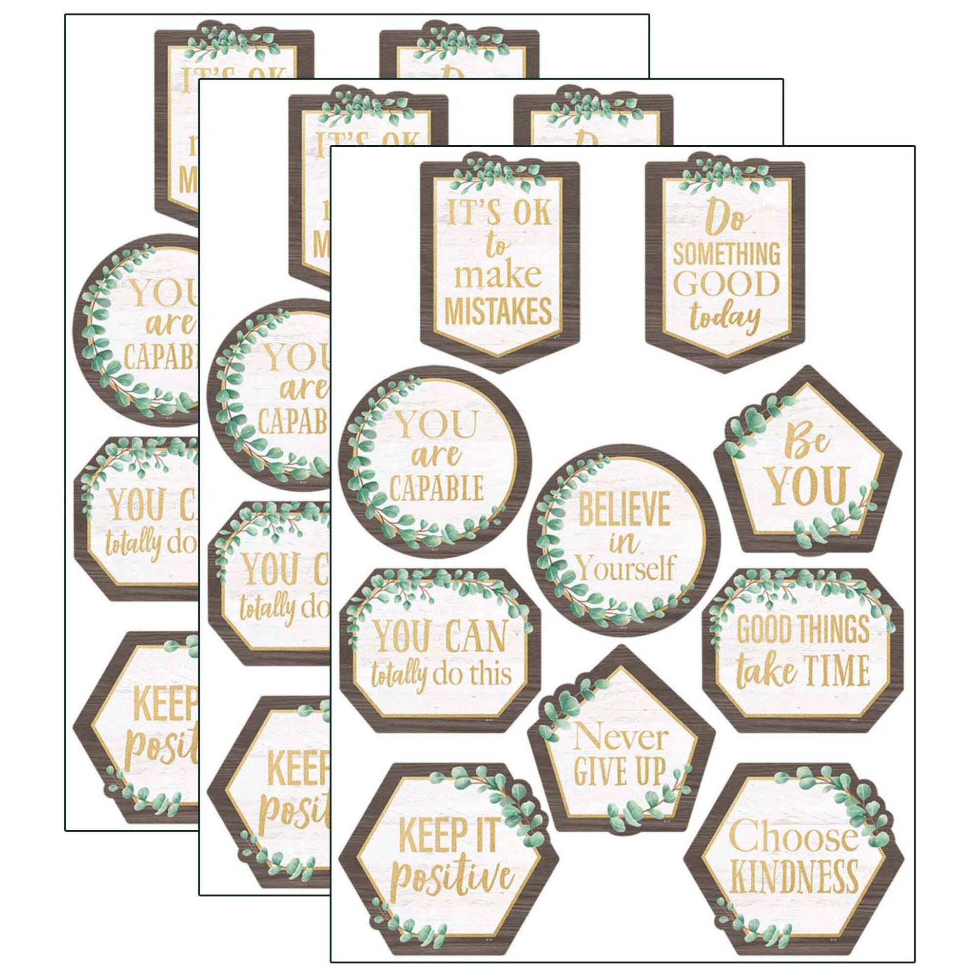 Teacher Created Resources Eucalyptus Positive Sayings Accents, 3 Packs of 30
